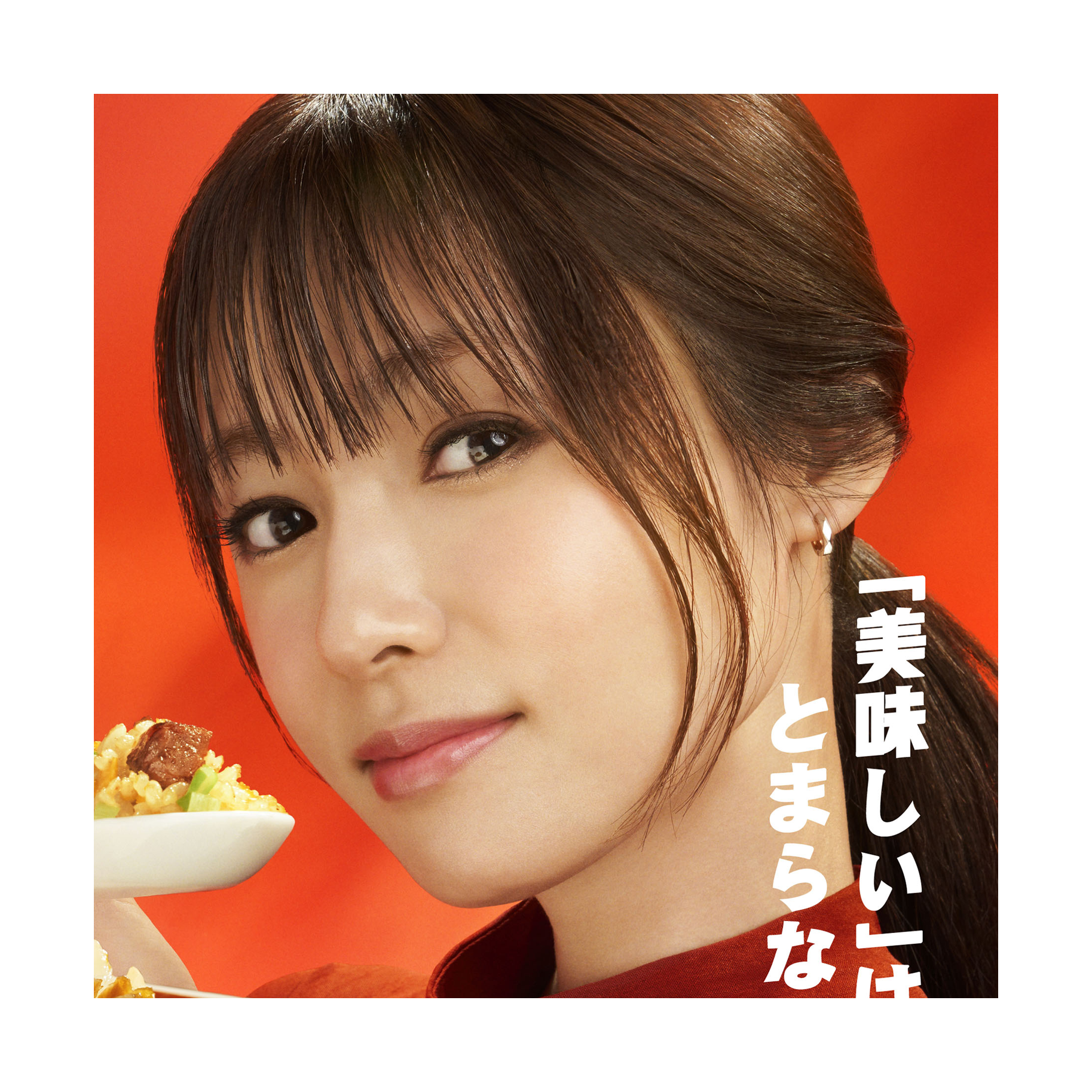 本格炒めチャーハン / ニチレイ