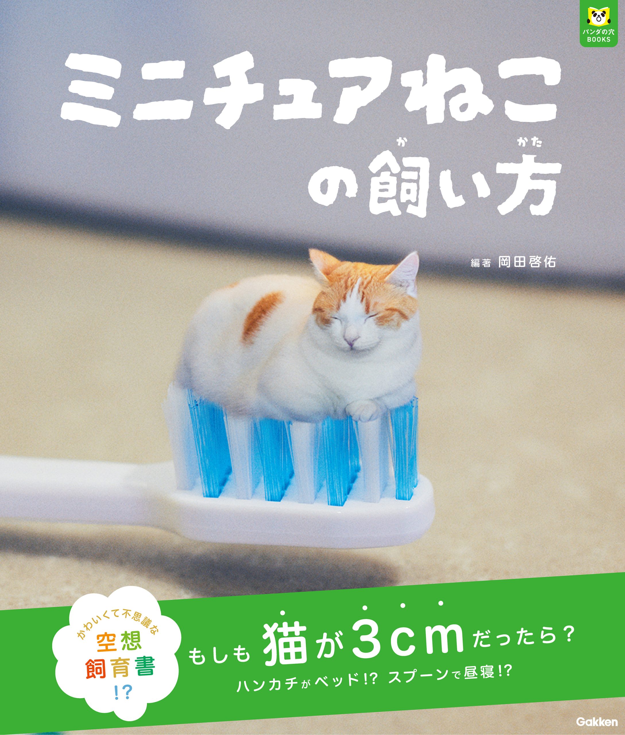 【著書】ミニチュアねこの飼い方